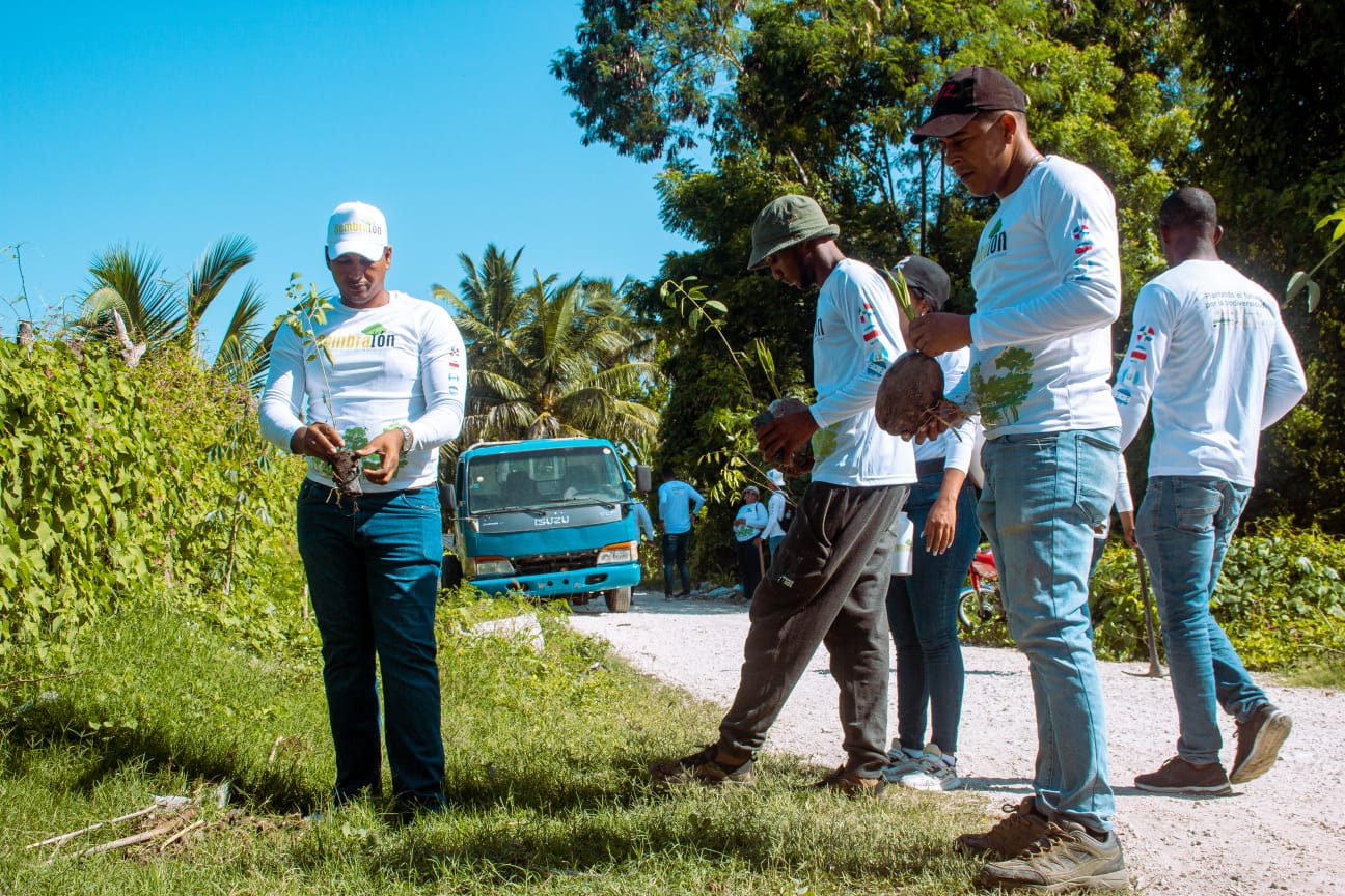 Conjunto de personas trabajando en equipo en la plantación de plantas para el medioambiente.
