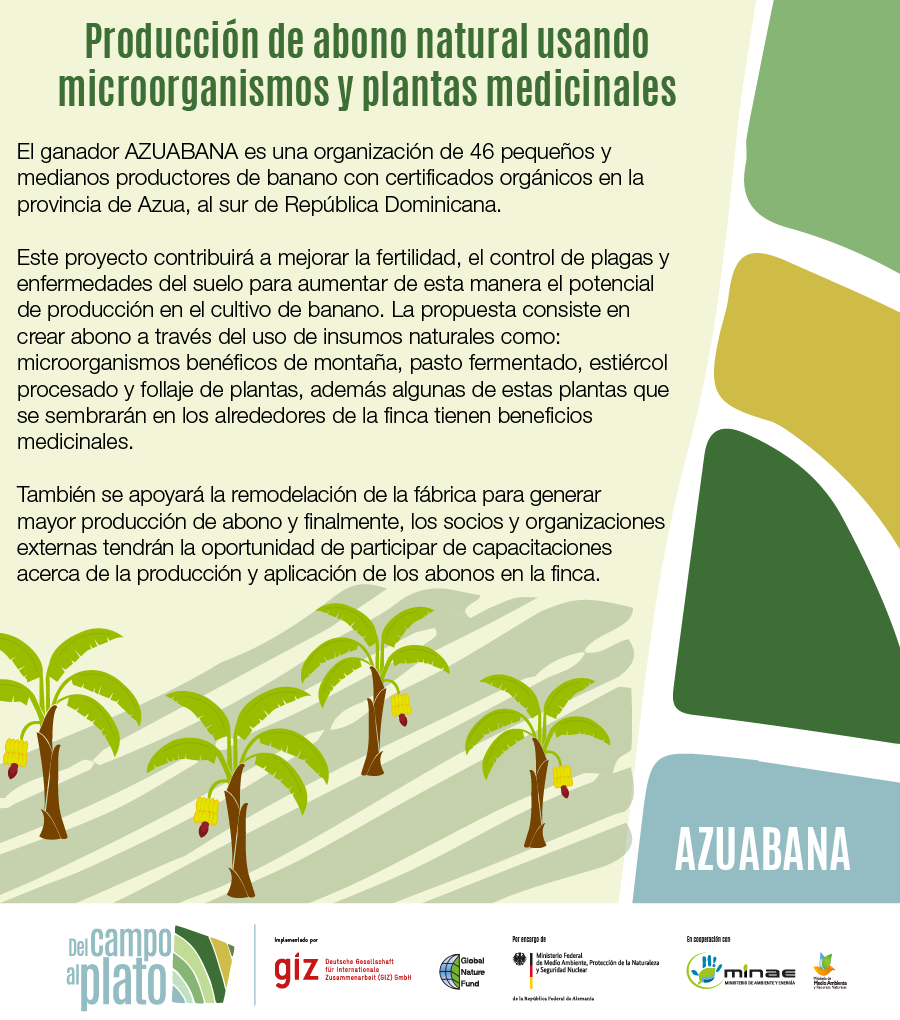 Producción de abono natural usando microorganismos y plantas medicinales