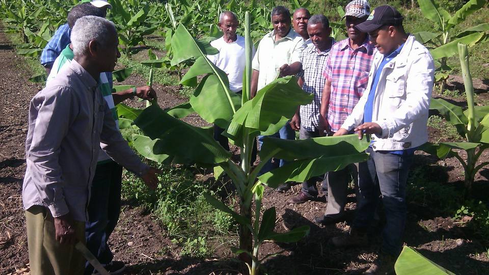 Conjunto de técnicos agrónomos asesorando a personas en el campo.